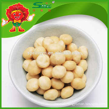 Holland fresh potato inmesh bag